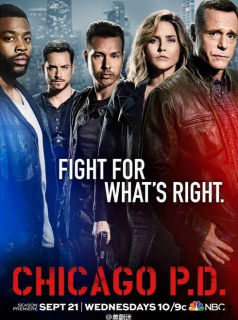 voir serie Chicago Police Department saison 1