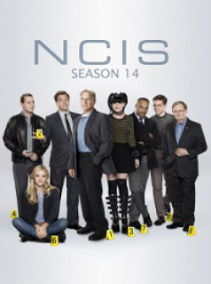 voir serie NCIS : Enquêtes spéciales saison 14