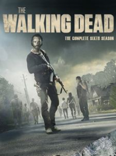 voir The Walking Dead Saison 6 en streaming 