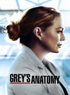 voir Grey's Anatomy saison 17 épisode 16
