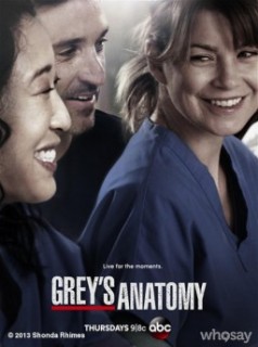 voir Grey's Anatomy saison 10 épisode 15