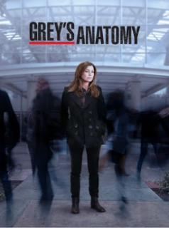 voir Grey's Anatomy saison 11 épisode 20