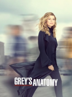 voir Grey's Anatomy Saison 16 en streaming 