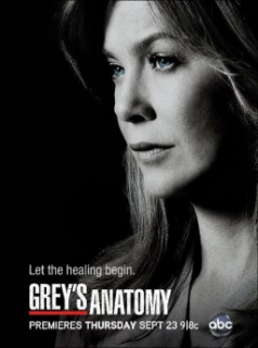 voir Grey's Anatomy saison 7 épisode 14